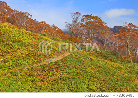 秋季觀看從群馬縣谷川岳天神山口纜車前往天神嶺的登山者 秋季觀看從群馬縣谷川岳天神山口纜車前往天神嶺的登山者 78309493