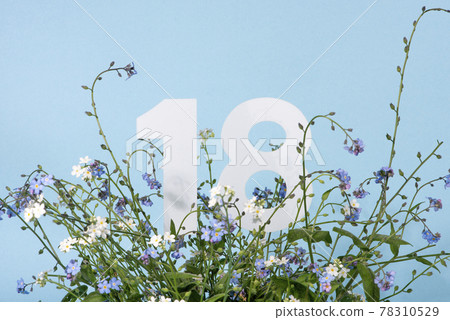 Number eighteen among blue forget-me-not flowers. .Birthday, anniversary, jubilee concept. Number eighteen among blue forget-me-not flowers. .Birthday, anniversary, jubilee concept. 78310529