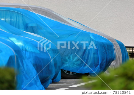 汽車固化封面圖片 78310841