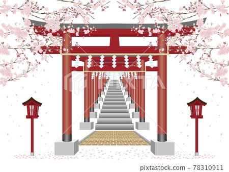 Torii cherry blossoms Torii cherry blossoms 78310911