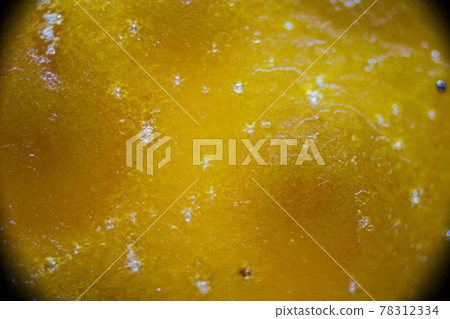 Mandarin peel under the light microscope, detailed peel close up, magnification 100 times, objective 10 Mandarin peel under the light microscope, detailed peel close up, magnification 100 times, objective 10 78312334