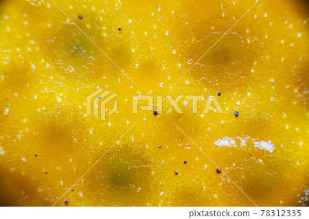 Mandarin peel with black dots under the light microscope, detailed peel close up, magnification 40 times, objective 4 Mandarin peel with black dots under the light microscope, detailed peel close up, magnification 40 times, objective 4 78312335