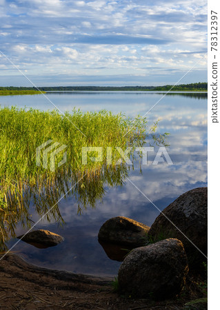 View from the shore of the lake View from the shore of the lake 78312397