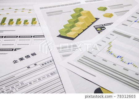 公司資料文件 公司資料文件 78312603