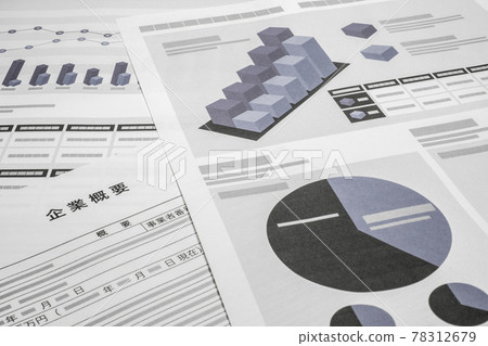 公司簡介文件 78312679