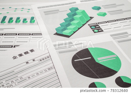 Company profile documents 78312680