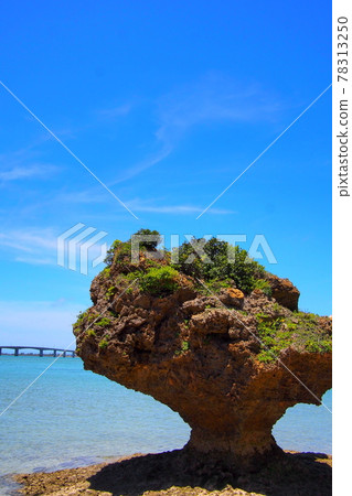 【沖繩濱比嘉島】從天道中的墳墓遠眺濱比嘉橋 【沖繩濱比嘉島】從天道中的墳墓遠眺濱比嘉橋 78313250