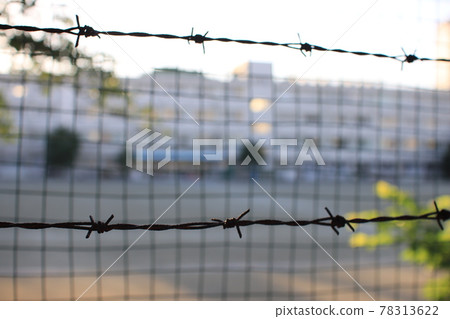 Barbed wire stretched on the fence Barbed wire stretched on the fence 78313622