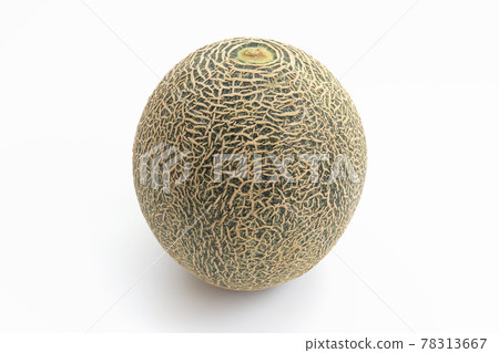 瓜 78313667