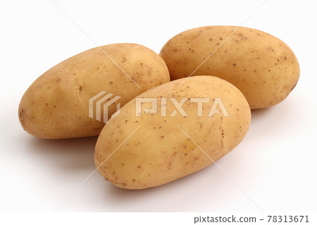 Potato (Pilka) Potato (Pilka) 78313671