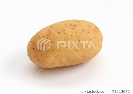 Potato (Pilka) Potato (Pilka) 78313672