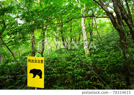 山上註意熊的招牌 山上註意熊的招牌 78314615