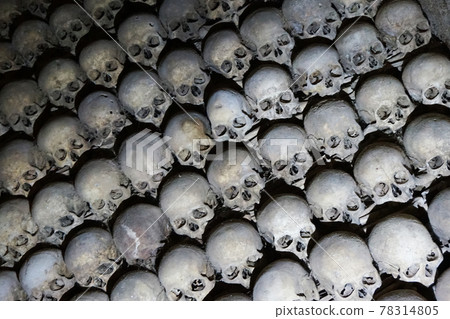 Human bones and skulls as pirate texture Human bones and skulls as pirate texture 78314805
