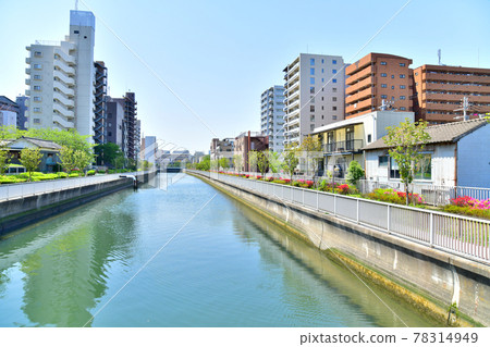 從末廣橋/仙台堀（東京都江東區）看龜久橋[2021.4] 78314949
