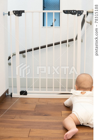 Baby in front of the baby gate 78315188