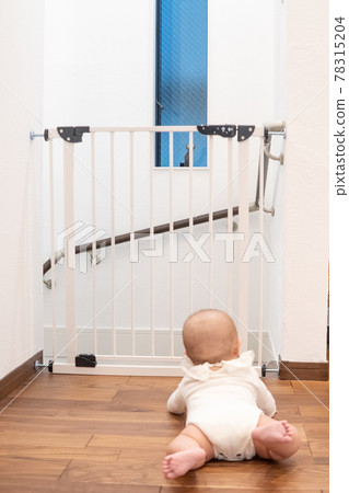 Baby in front of the baby gate Baby in front of the baby gate 78315204