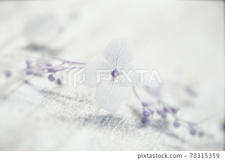 Image material of miscellaneous goods Dried flowers 78315359
