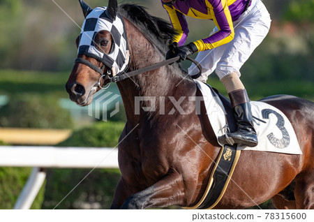 佐賀賽馬 78315600