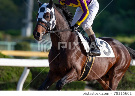 佐賀賽馬 佐賀賽馬 78315601