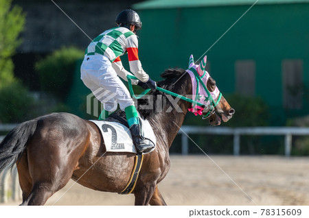 Saga horse racing 78315609