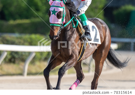 Saga horse racing 78315614