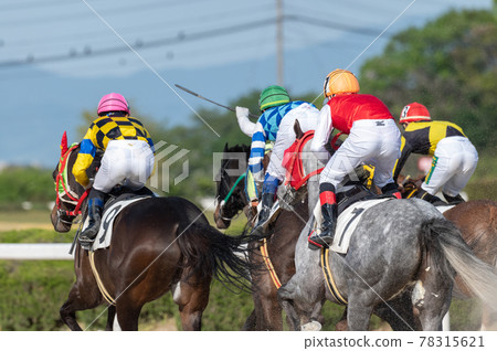佐賀賽馬 佐賀賽馬 78315621