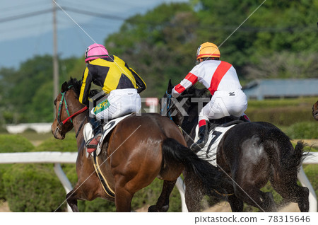Saga horse racing 78315646