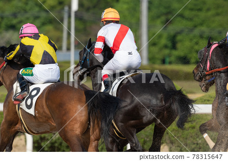Saga horse racing 78315647