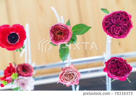 製作幹玫瑰花過程的照片。乾燥花的狀態。 78316373