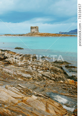Spiaggia della Pelosa beach, Sardinia, Italy 78316457