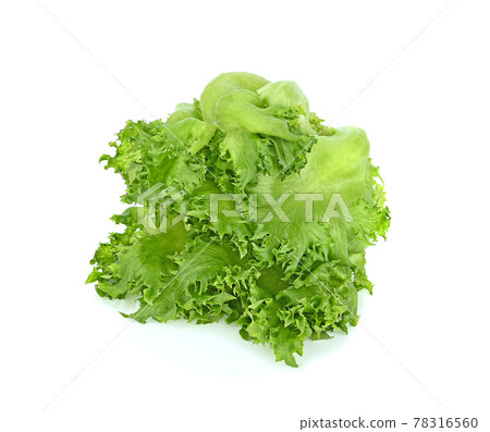 Cabbage isolated on white background Cabbage isolated on white background 78316560