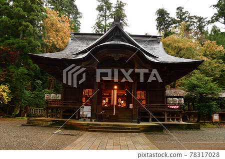 秋色的近江神社(新潟縣) 秋色的近江神社(新潟縣) 78317028