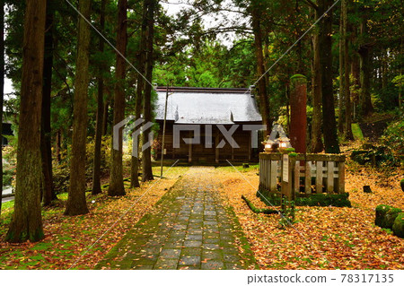 秋天的鴨山公園(新潟縣) 秋天的鴨山公園(新潟縣) 78317135
