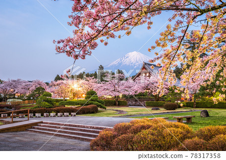 Fujinomiya, Shizuoka, Japan with Mt. Fuji 78317358