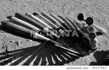 Youth baseball bat 78317567