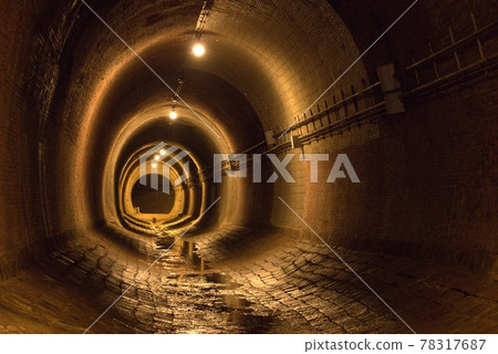 Inside the tunnel where the lights are lit at regular intervals Inside the tunnel where the lights are lit at regular intervals 78317687
