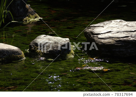 Rocks, algae and rivers Rocks, algae and rivers 78317694