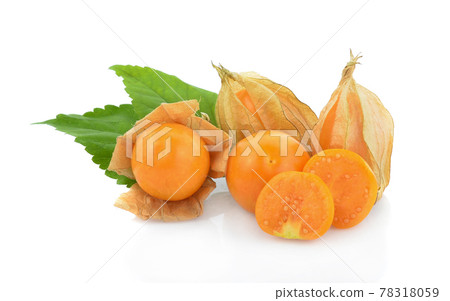Cape gooseberry (physalis) isolated on white background 78318059