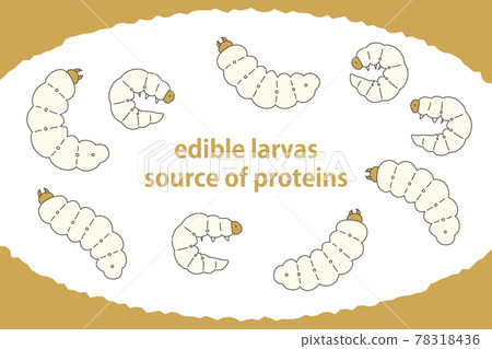 Illustration set of edible insects edible larvae Next-generation protein resources Illustration set of edible insects edible larvae Next-generation protein resources 78318436