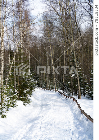 A staircase in the middle of the forest covered with snow in winter. A staircase in the middle of the forest covered with snow in winter. 78318534