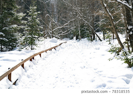 A staircase in the middle of the forest covered with snow in winter. 78318535