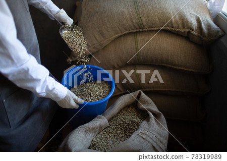 Green coffee beans in burlap sack and woman roaster with scoop Green coffee beans in burlap sack and woman roaster with scoop 78319989