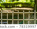 Fourth bamboo fence 78319997