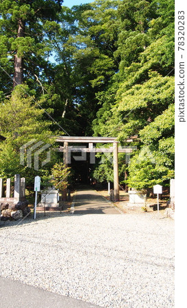 若狹國一宮若狹彥神社(神社)鳥居 若狹國一宮若狹彥神社(神社)鳥居 78320283