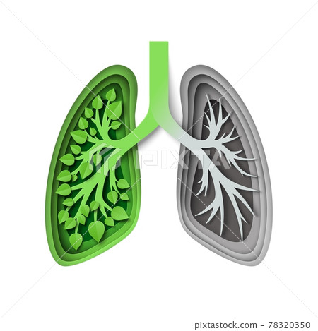 Nature lungs with leaves and without, vector illustration in paper art style. Save nature, environment. Ecology concept Nature lungs with leaves and without, vector illustration in paper art style. Save nature, environment. Ecology concept 78320350