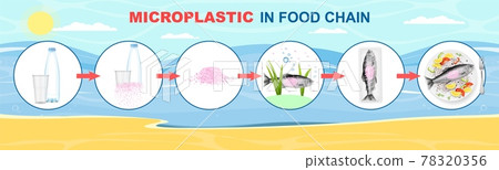 Microplastic in food chain vector infographic. Plastic waste life cycle diagram. Ocean, sea water, fish, food pollution. 78320356