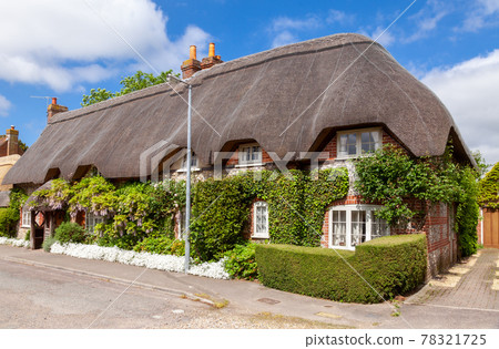 Traditional english thatched house with plant decoration in Southern England UK 78321725