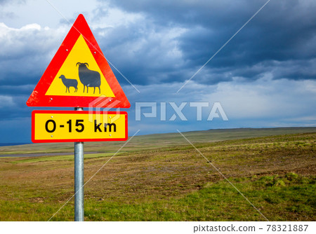 Sheep crossing road sign in Iceland 78321887