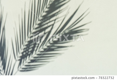 Summer background with palm leaves Summer background with palm leaves 78322732