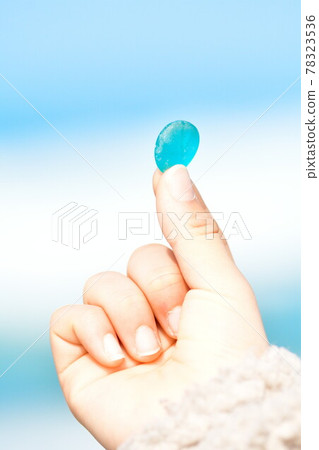 海草圖像 78323536
